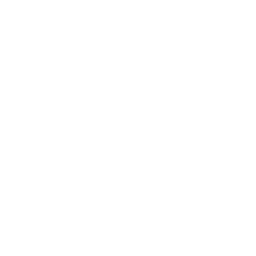 security-icon